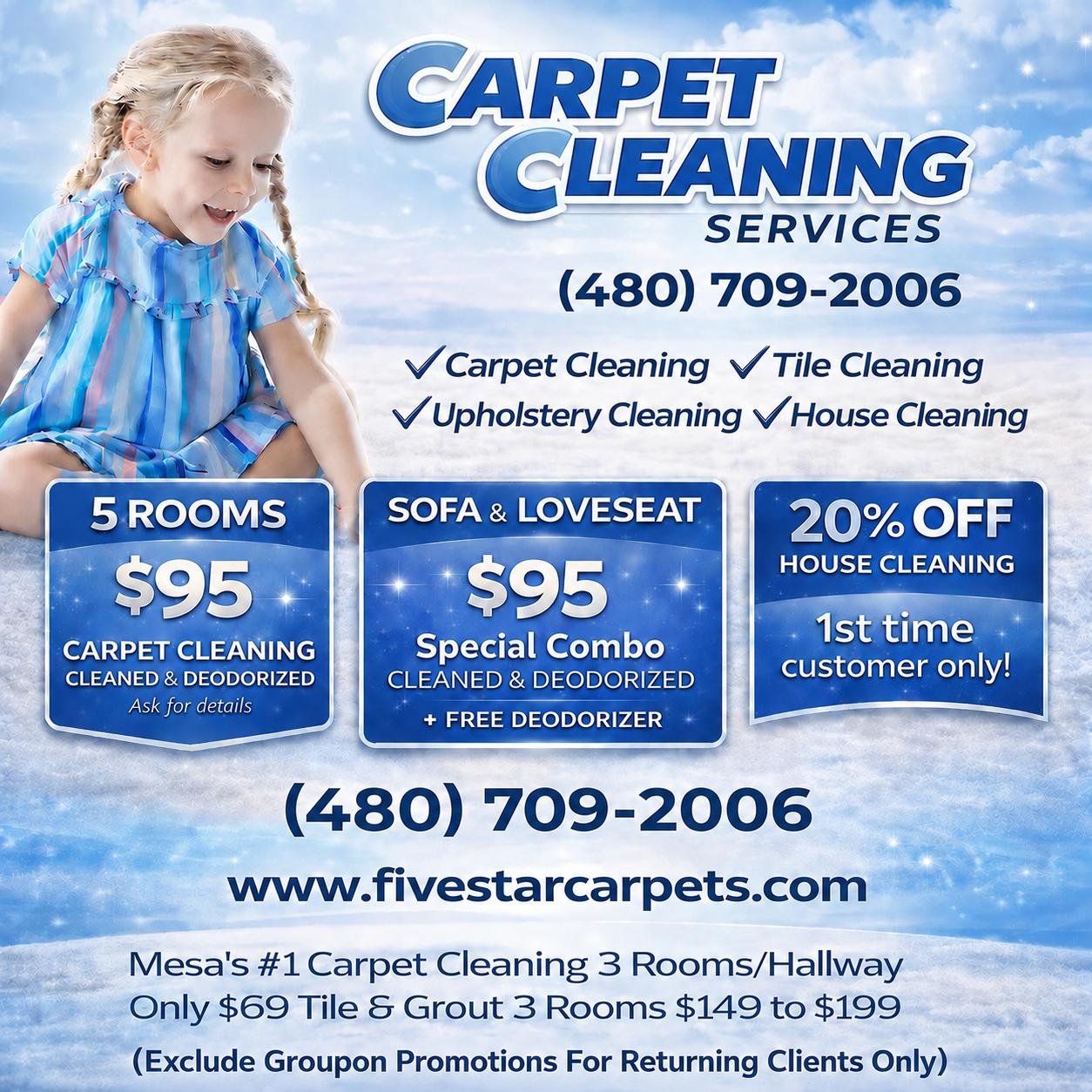 Carpet cleaning expert